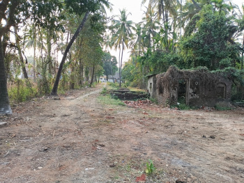 Property for sale in Murud, Raigad