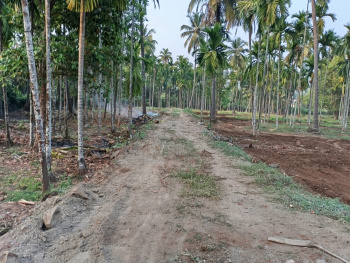 Property for sale in Murud, Raigad