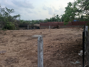 Agricultural/Farm Land for Sale in Murud, Raigad (11 Guntha)