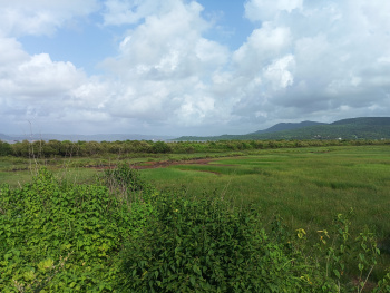 Property for sale in Shrivardhan, Raigad