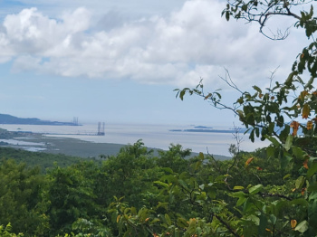 Residential Plot for Sale in Murud, Raigad (65 Guntha)
