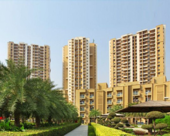 3 BHK Flats & Apartments for Sale in Sector 137, Noida (1660 Sq.ft.)