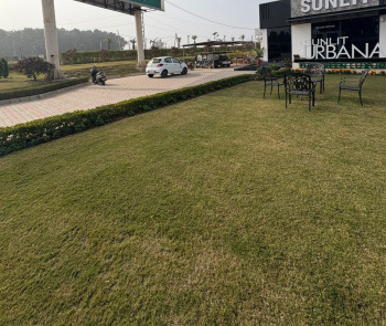 Property for sale in Sector 16 Panchkula