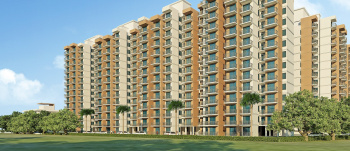 1 BHK Flats & Apartments for Sale in Taraori, Karnal (310 Sq.ft.)