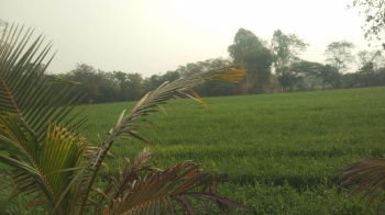 Property for sale in MIDC Avdhan, Dhule
