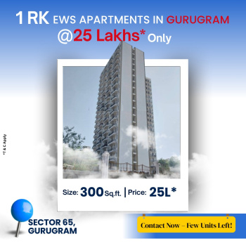 1 RK Flats & Apartments for Sale in Sector 65, Gurgaon (300 Sq.ft.)