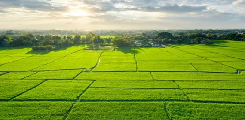 150 Sq. Yards Residential Plot For Sale In Farrukhnagar, Gurgaon