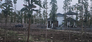 Property for sale in Rama Dam, Nagpur