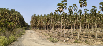 Property for sale in Rama Dam, Nagpur