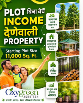 Without property selling high return income tax free