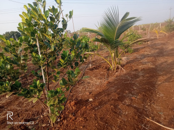 Property for sale in Kamthana, Bidar