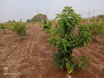 Property for sale in Kamthana, Bidar