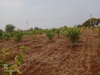 Property for sale in Kamthana, Bidar