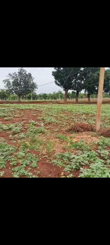 Property for sale in Kadwad, Bidar