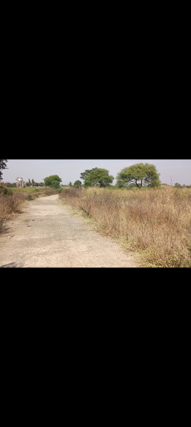 Agricultural/Farm Land for Sale in Mirzapur Taj, Bidar (3 Acre)