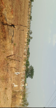 Agricultural/Farm Land for Sale in Bagdal, Bidar (20 Guntha)