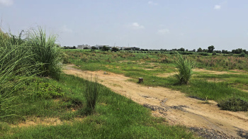 Industrial Land / Plot For Sale In Sector 33, Bahadurgarh (5.5 Acre)