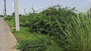Property for sale in Sector 33 Bahadurgarh