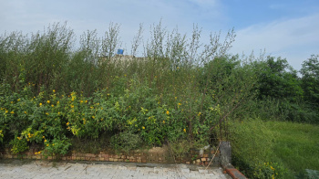Property for sale in Kharkhoda, Sonipat
