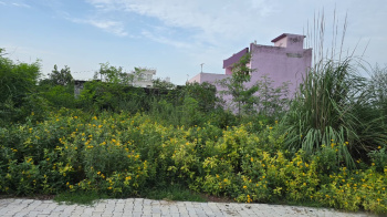 200 Sq. Yards Residential Plot for Sale in Kharkhoda, Sonipat