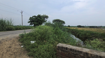 Agricultural/Farm Land for Sale in Beri, Jhajjar (5.5 Ares)