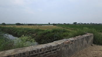 Property for sale in Beri, Jhajjar