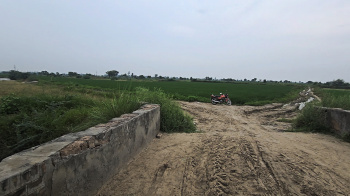 Property for sale in Beri, Jhajjar