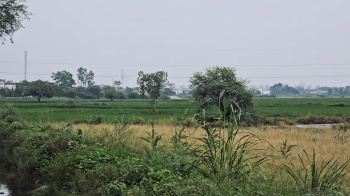 Property for sale in Beri, Jhajjar