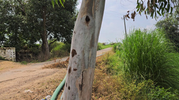 Property for sale in Daboda Village, Bahadurgarh