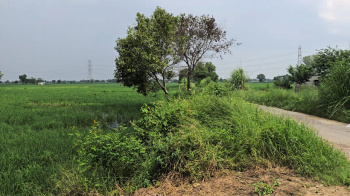4.25 Acre Agricultural/Farm Land for Sale in Daboda Village, Bahadurgarh