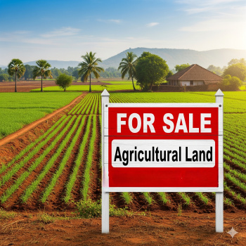 Farm / Agriculture land for Sale in Kharar ,Jhajjar