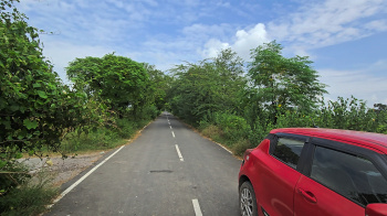 Agricultural/Farm Land for Sale in Ashoda, Bahadurgarh (4 Acre)