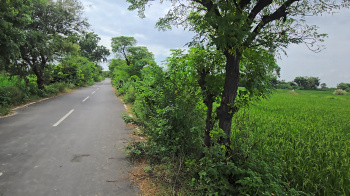 Property for sale in Asudha Village, Bahadurgarh