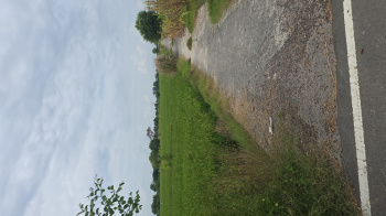 Property for sale in Asudha Village, Bahadurgarh