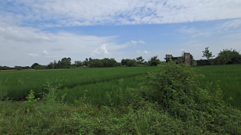 Farm / Agriculture land for Sale in Bahadurgarh