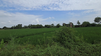 Property for sale in Asudha Village, Bahadurgarh