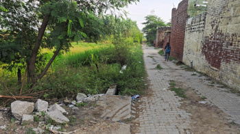 Agricultural/Farm Land for Sale in Ismaila, Rohtak (7 Acre)