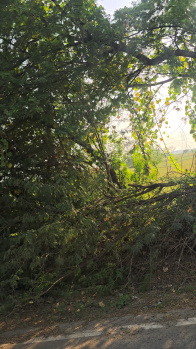 Property for sale in Ismaila, Rohtak