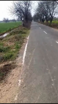 Agricultural/Farm Land for Sale in Balsamand, Hisar (44 Acre)