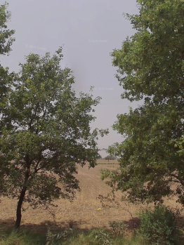 Property for sale in Kasni, Jhajjar