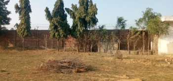 Agricultural/Farm Land For Sale In Sohna Road, Faridabad (2 Acre)