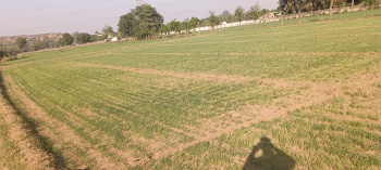 FARM HOUSE LAND FOR SALE ALL SIDE FARM HOUSE