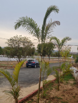 4000 Sq.ft. Residential Plot for Sale in Sakroda, Udaipur