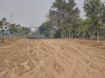 Residential Plot for Sale in Hansi, Hisar (100 Sq. Yards)
