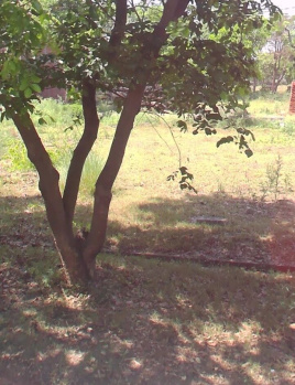 Property for sale in New Moradabad