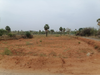 3 Acre Agricultural/Farm Land for Sale in Anna Nagar, Virudhunagar