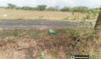 Agricultural/Farm Land for Sale in Srivilliputhur, Virudhunagar (6 Acre)