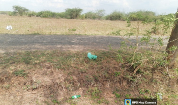 Agricultural/Farm Land for Sale in Srivilliputhur, Virudhunagar (3 Acre)