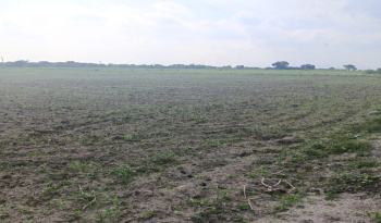 Property for sale in Amathur, Virudhunagar