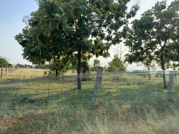 Property for sale in Nanguneri, Tirunelveli